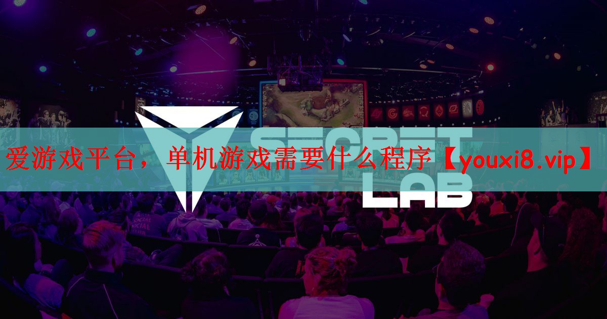 爱游戏平台，单机游戏需要什么程序