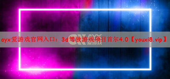 3d驾驶游戏项目首尔4.0