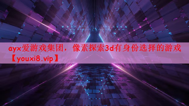 像素探索3d有身份选择的游戏